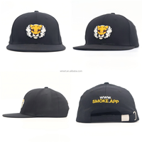 Casquette de baseball unisexe à 6 panneaux, en coton, brodée, avec logo personnalisé, vente en gros, OEM, sport, snapback