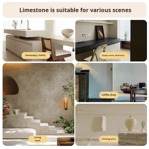 Vernice minerale a calce | <span class=keywords><strong>Rivestimento</strong></span> <span class=keywords><strong>decorativo</strong></span> Eco Dry-Mix, Look Vintage Wabi-Sabi - Product Image 5