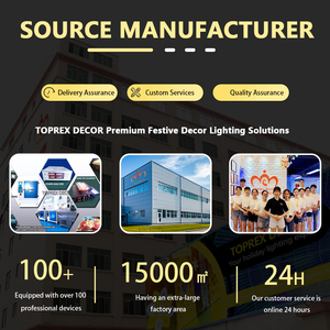 ไฟประดับรูปบอลลูนลมร้อนขนาดใหญ่ 3 มิติ กันน้ำ IP65 แบบตั้งพื้น ใช้หลอดไฟ LED สำหรับตกแต่งสวนสาธารณะ ตลาดคริสต์มาส และเทศกาลต่างๆ - Product Image 5