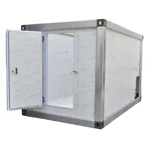 Chambre froide mobile de petite taille de pièce de congélateur de Ruixue avec l'unité de réfrigération entière pour le stockage de légumes et de fruits