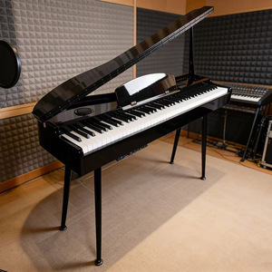 Piano numérique et clavier d'orgue Beisite B-86, 88 touches sensibles au toucher, clavier éclairé, haut-parleur intégré - Product Image 1