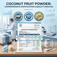 Poudre de jus de myrtille sauvage instantanée pure FVP-13 de qualité alimentaire en bouteille/boîte/fût/contenant en plastique pour café et pâtisserie