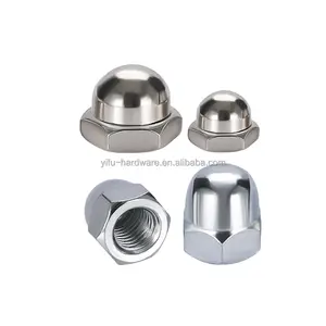 Factory Hot Sale Din 1587 M6 M8 M10 304 Stainless Steel Hex Flange Domed Cap Nut / Acorn Nuts With Nylon Cover