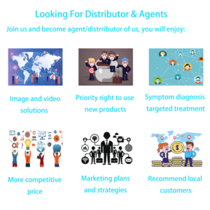 Supplément d'additifs alimentaires de vitamine c de poulet d'approvisionnement d'usine pour améliorer l'immunité et favoriser la croissance - Product Image 5