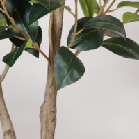 Planta Artificial de Camelia en Maceta de Plástico para Interiores y Exteriores, Decoración de Oficina, Jardín y Hogar, Plantas Artificiales