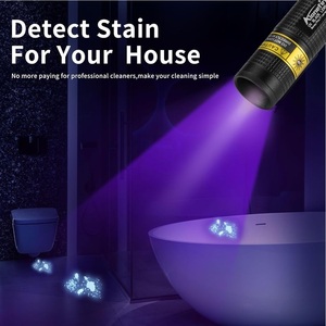 Mini 365nm Led Black Light <strong>UV</strong> <strong>Flashlight</strong> Usb Rechargeable Nail Lamp Pet Stain Leakage Marker Ore Money Scorpion Detection Lamp - Product Image 5