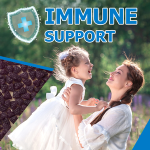 Hot Selling Elderberry Immune Gummy with Zinc Vitamin C D3 Extract Elderberry Immune Support Promotes Antioxidants <b>Supplement</b> - Product Image 4