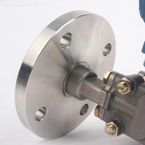 Интеллектуальный высокотемпературный датчик-преобразователь дифференциального давления 3051 с одним фланцевым креплением, тип «колодец», из стали 304 - Product Image 3