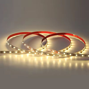 Tira de Luces LED de Cobre 2835 de 60 LED, Guirnaldas de Luces LED Inteligentes para Paisajismo y Publicidad, Ancho de PCB de 8 mm - Product Image 6