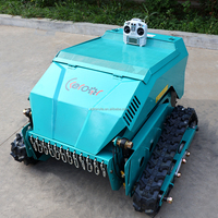 Mulcher à chenilles télécommandé multifonction fabriqué en Chine tondeuse à gazon à fléaux à vendre