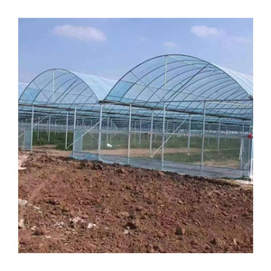 Serres agricoles multi-travées <span class=keywords><strong>en</strong></span> acier galvanisé avec film PE pour la culture <span class=keywords><strong>de</strong></span> fraises <span class=keywords><strong>en</strong></span> <span class=keywords><strong>gros</strong></span> - Product Image 5