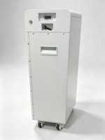 SKS-L2-314 51.2V 280Ah 314Ah 15KWh 16KWh Kotak Baterai Lithium Ion Rakitan Sendiri dengan SEPLOS BMS dan Aktif