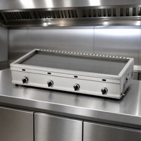 Nouvel Arrivage DanFuQi Plaque de Cuisson à Gaz Plate en Acier Inoxydable pour Burgers, Garantie 1 An, Nettoyage Facile, Silencieux