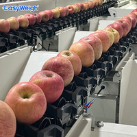 Industriële sorteermachines voor sinaasappels, granaatappels, peren en guave.