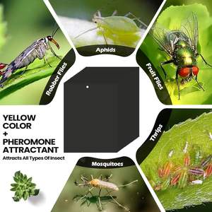 Powerful Adhesive <strong>Bug</strong> Catcher Yellow Glue <strong>Trap</strong> - Your Insect-Free Guarantee - Product Image 4