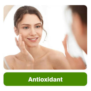 Private label integratori di Fiber alimentari estratto di melone amaro berberina HCL estratto di erbe capsule promuove supporto digestivo - Product Image 6