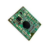 Module de carte son audio OKY3164-2, module de carte d'enregistrement, enregistreur vocal, enregistrement de 120 secondes, lecture, carte musicale parlante