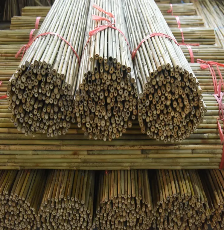 Milieuvriendelijke Decoratieve Tuin 2024 Fabriek Prijs Goede Kwaliteit Goedkope Bamboe Hek Voor Tuin Gebruik