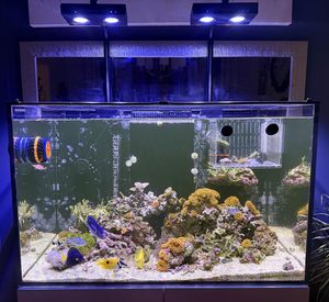 Nueva Lámpara LED para Acuario de Alta Potencia DIY Spectrum 90W G5 Aqua Star con Temporizador, para Peceras de Agua Salada, Arrecifes de Coral - Product Image 1
