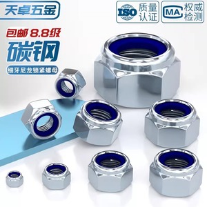 Tianzhuo Hardware Nylon Self Locking Nuts M8 M10 M14 M16 M20 Galvanized Fine Thread Anti Loosening Grade 8.8 - Product Image 2