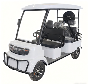 HKBG Nouveau Scooter Électrique à Quatre Roues avec Moteur Brushless et Batterie au Lithium, Vitesse 25km/h, Autonomie 60-80km, Capacité 150kg - Product Image 4