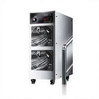 Générateur d'ozone pour usine alimentaire 100g, désinfecteur haute concentration, purificateur d'atelier, élimination des odeurs, élimination des bactéries