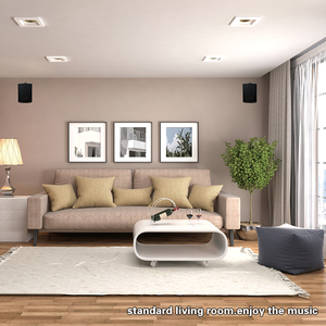 Hệ Thống Loa Treo Tường Thiết Bị Âm Thanh Chuyên Nghiệp/Bộ Khuếch Đại/Loa/Loa Gắn Tường Âm Thanh Bằng Nhựa Kim Loại Không Dây Di Động - Product Image 3