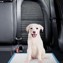 Tapis d'apprentissage jetable pour chiot, bleu, doux, très absorbant, anti-fuite, anti-odeur, prix de gros, en vrac, pour chien - Product Image 6