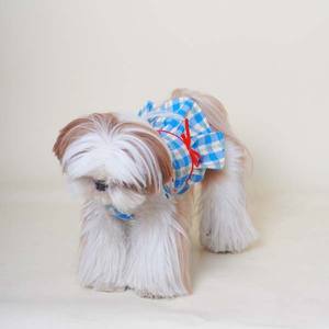 Vestido de Verano para Perro, Diseño Floral Azul, Transpirable y Suave - Product Image 4
