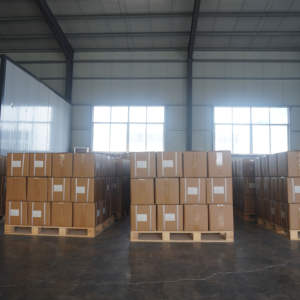 DTY Hoge Kwaliteit T10 Tandmodel Gips Warm Wit Oppervlak Glad Tandheelkundige Articulator Montage Toepassing Niet-krakend - Product Image 5