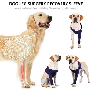 ชุดกู้คืนของสุนัขที่รัดเข่าสำหรับขาหน้าป้องกันการเลียชุดป้องกันการบาดเจ็บของสัตว์เลี้ยงระบายอากาศได้ดีชุดกู้คืนแผล - Product Image 4