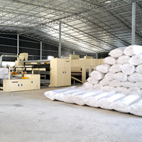 TONGDA TDL-ZT Non Tissé Polyester Fibre Feutre Auto Intérieur Géotextile Aiguille Métier À tisser Poinçonneuse