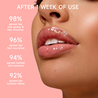 SheDiary Huile à Lèvres Hydratante Effet Repulpant Teinté Longue Durée Couleur Vin Brillant Format Voyage 15ml – Marque Privée OEM