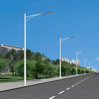 Panneau de caméra de route léger à pôle haut personnalisé en usine panneau publicitaire lampadaire portique en acier