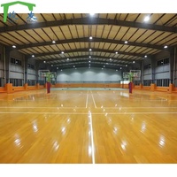 Vigas de Acero Ligeras, Vigas en H Laminadas en Caliente, Construcción de Estadios, Estructura de Acero para Pabellones Deportivos Interiores, Colores Personalizables