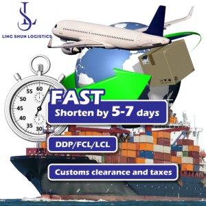 Lingshun Top 1 compagnia di spedizioni cinese agente di trasporto aereo tariffe di spedizione Competitive servizio di Dropshipping diretto Dubai filippine - Product Image 2