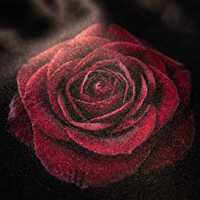 Nappe Gothique Florale Noire Rose en Polyester Ronde pour Table de Salle à Manger, Idéale pour Mariages, Fêtes, Hôtels, Automne Hiver