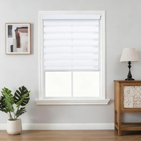 Stores zébrés manuels sans fil, double couche, filtrant la lumière, intégrés jour et nuit, faciles à installer sans perçage ni outils pour fenêtre