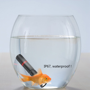 Skywolfeye B24 Mini <b>LED</b> <b>Flashlight</b> Waterproof Keychain Pen Light Outdoor Use - Product Image 2