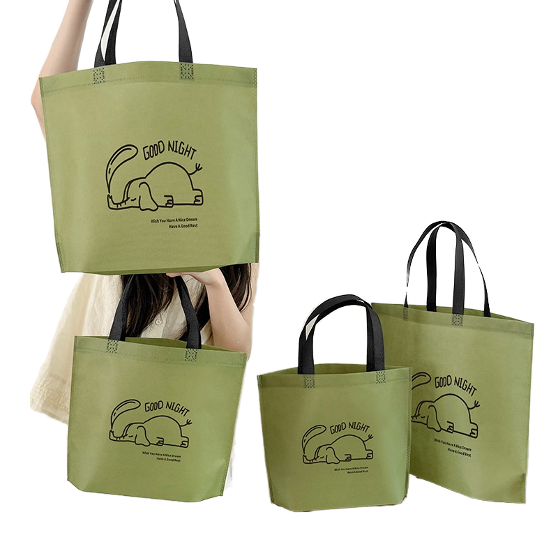 Custom Non Woven Handbag for Women