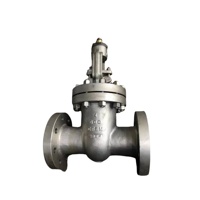 Katup Gerbang Baja Tahan Karat Kelas 150 ANSI, Material CF8M/316, Bersertifikasi API 600, Kustomisasi OEM untuk Sistem Air/Minyak/Gas