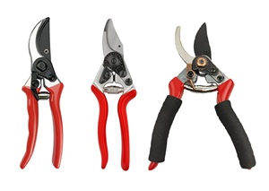 Sécateur professionnel <span class=keywords><strong>à</strong></span> dérivation tranchante, ciseaux de jardinage, coupe de Branches de fruits, tondeuse de jardin, sécateur <span class=keywords><strong>à</strong></span> main - Product Image 4