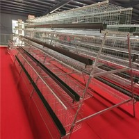 Jaula de acero automática de 4 niveles para gallinas ponedoras de 120, 128 y 160 aves, para granjas avícolas