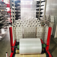 Rouleaux de tissu en plastique PP blanc de matière première de polypropylène de fournisseurs de fabricant de Chine faisant des sacs d'emballage