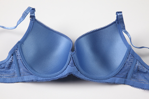 Áo Ngực Bán Buôn Thương Hiệu Hoa Giá Hợp Lý Chất Lượng Đảm Bảo 36 Cỡ - Product Image 4