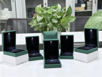 Boîte à bijoux suspendue LED vert foncé, étui cadeau lumineux pour collier, emballage personnalisé avec logo