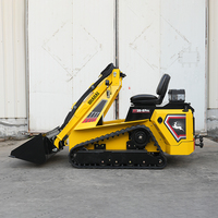 Pengiriman Gratis China Harga Murah Track Wheel Ce/Epa Ride on Mini Skid Steer Loader Dengan Attachment Bucket Trencher