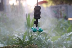 Green <span class=keywords><strong>Sen</strong></span> 4-Wege-Vernebelungsdüse Gewächshaus-Hängeketten-Tropfsprinkler Bewässerungssystem 27-48 L/H 2-3 Bar - Product Image 5