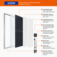 Panneau solaire monocristallin bifacial de type N 182, 650W, 132 cellules, module photovoltaïque pour projets commerciaux