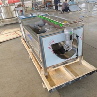 Automatische productielijn voor het wassen, schillen, snijden en drogen van aardappel-frites